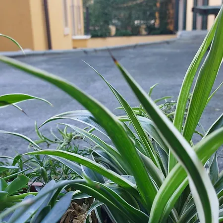 Lejlighed Monica's Dream *